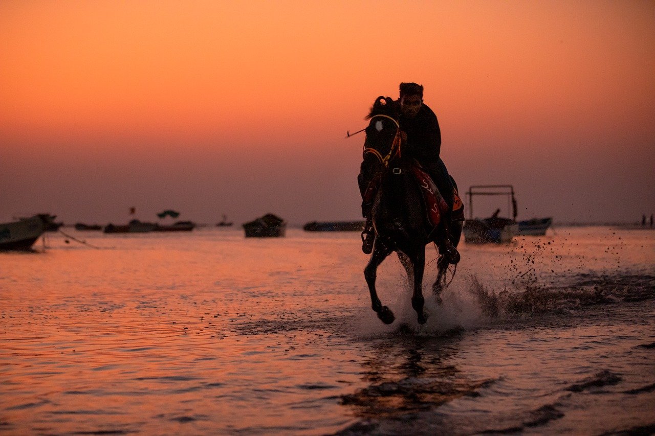 The Ultimate Guide to Horseback Riding in the Rockies